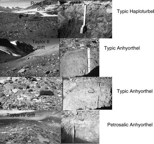 FIGURE 4 Landforms and soils on key drifts in Taylor Valley, including (A) a Typic Haploturbel on Ross Sea drift in eastern Taylor Valley, (B) a Typic Anhyorthel on Taylor II drift between the Sollas and Hughes Glaciers, (C) a Typic Anhyorthel on Taylor III drift below the Hughes Glacier, and (D) a Petrosalic Anhyorthel on Taylor IVa drift in Pearse Valley.