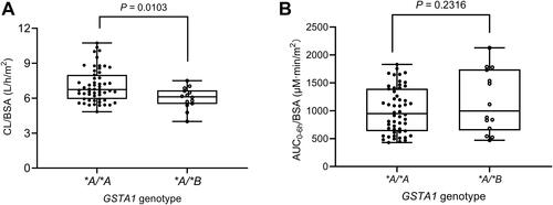 Figure 2 The effect of GSTA1 genotypes on CL/BSA (A) and AUC0-6h/BSA (B). AUC0-6h, area under the concentration-time curve of 0–6 h.