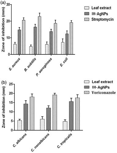 Figure 8. Comparison of (a) antibacterial and (b) antifungal activities of pristine aqueous leaf extract of I. hisuta, IH-AgNPs and standard drug (streptomycin/voriconazole).