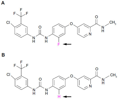 Figure 1 Chemical structure of regorafenib and sorafenib. (A) Regorafenib (Stivarga®). (B) Sorafenib (Nexavar®). Note the difference of only one fluorine/carbon atom in the central phenyl ring (pink and arrows). Regorafenib is sometimes referred to as “fluoro-sorafenib”.