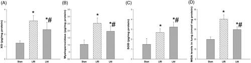 Figure 3. Lipoxin A4 inhibited the oxidative stress response in grafted lung tissues in rats. (A–D) The activity of XO (A), MPO (B) and SOD (C), and the concentration of MDA (D) in lung tissues of the indicated groups at 24 hours after reperfusion were measured. n = 8 rats for each group; *p < 0.05, vs. the sham group; #p < 0.05, vs. the LIRI group. Display full size, the sham group; Display full size, the LIRI group; Display full size, the LA4 group.