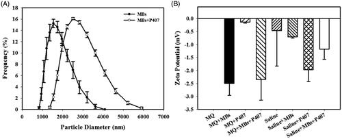 Figure 2. Quantification of the size distributions (A) and zeta potentials (B) of MQ water, MBs in MQ water, P407 in MQ water, MBs and P407 in MQ water, saline, MBs in saline, P407 in saline, and MBs and P407 in saline. Data are the mean and SEM.