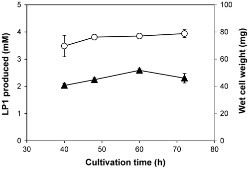 Fig. 3. Cultivation time optimization of R. rubropertinctus N82 for the biotransformation of LS1 into LP1.Note: The LP1 production was carried out with cells cultivated at various time in the optimized medium. Production of LP1 (▲) and wet cell weight of R. rubropertinctus N82 used (○) in the reaction mixtures were shown.