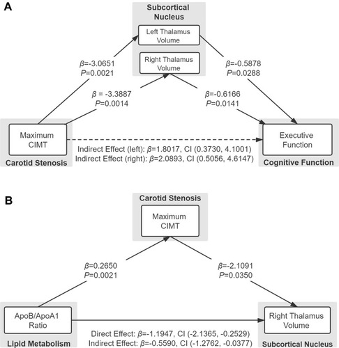Figure 2 Mediation analysis for associations among carotid stenosis, lipid/metabolic variables, thalamic volume, and cognition at baseline.