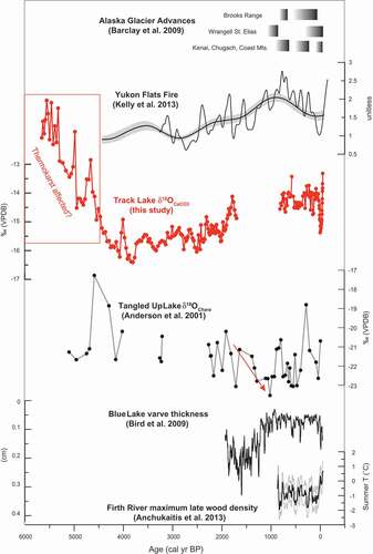 Figure 14. Comparison between the Track δ18OCaCO3 with records of YF fire (Kelly et al. Citation2013), Alaska glacier activity (Barclay, Wiles, and Calkin Citation2009), Tangled Up Lake δ18OChara (Anderson, Abbott, and Finney Citation2001), Blue Lake varve thickness (Bird et al. Citation2009), and Firth River maximum late wood density summer temperature reconstruction (Anchukaitis, D’Arrigo, and Andreu-Hayles Citation2013). The normalized YF charcoal accumulation rate (CHAR) compilation shows trends on millennial (gray) and century (black) time scales. The red box around the Track Lake time series indicates the section of the sediment record that may have been influenced by thermokarst processes. The downward red arrow on the Tangled Up record indicates potential trends in regional δ18Op discussed in the text