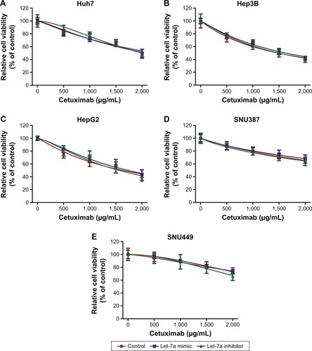 Figure 4 The role of let-7a on increasing the sensitivity of HCC cells to cetuximab is impaired after STAT3 suppression.