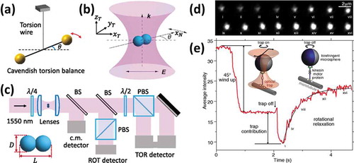 Figure 9. Optically trapped torsion balance