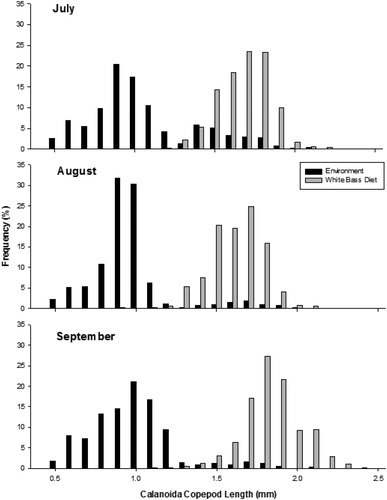 Figure 4. Length frequency of calanoid copepods collected in the environment and of calanoid copepods from the stomach contents of age-0 white bass during July, August, and September 2016 from Harlan County Reservoir, Nebraska.