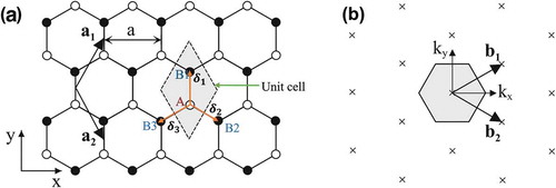 Figure 3. (a) Honeycomb lattice of monolayer graphene, where white (black) circles indicate carbon atoms on A (B) sites, and (b) the reciprocal lattice of monolayer graphene, where the shaded hexagon is the corresponding Brillouin zone [Citation51] (reused with permission from [51] Copyright © 2011, Springer-Verlag Berlin Heidelberg.).