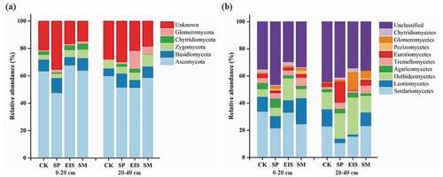 Figure 3. Relative abundance of soil fungal (a) phyla and (B) class with different straw returning methods at 0–20 and 20–40 cm depths