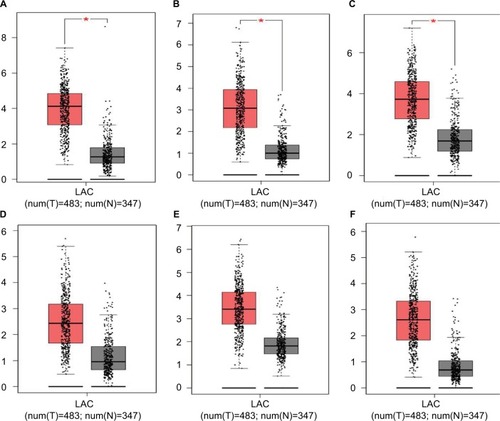 Figure 5 GEPIA boxed plots of key genes (A) CENPF; (B) KIF2C; (C) AURKB; (D) BUB1B; (E) CENPU; (F) HMMR in human LAC and normal lungs.Notes: *P<0.05.Abbreviations: GEPIA, Gene Expression Profiling Interactive Analysis; LAC, lung adenocarcinoma.