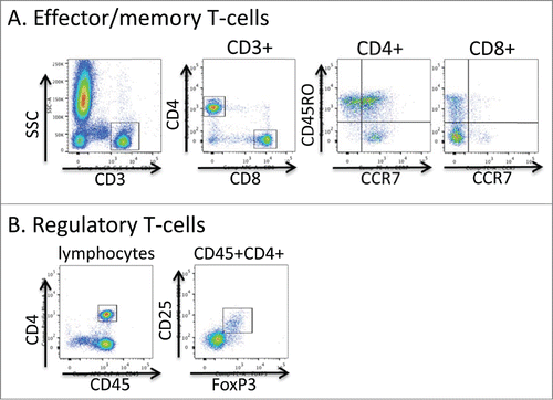 Figure 5. Flow cytometric gating strategy for T-cell phenotyping. Aliquots of freshly collected blood were stained directly with antibodies to the markers shown in A and B. In A, live events were first gated using the FSC × SSC parameters and then the indicated gating strategies were used. In B the lymphocyte fraction was initially gated using the FSC × SSC parameters.