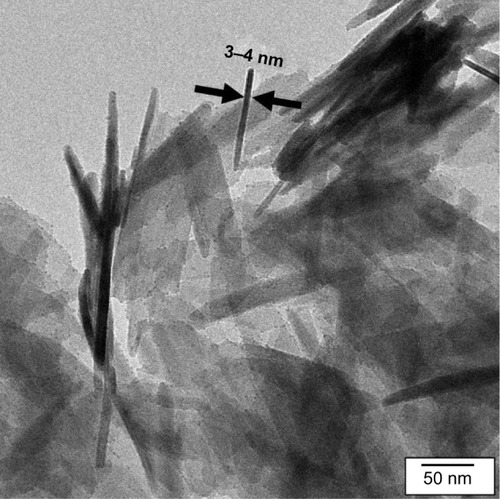 Figure 3 TEM of the nano-crystalline hydroxyapatite (ncHA). The ncHA consists of thin platelets (length: 50–70nm, width: 20–25nm, thickness: 3–4nm, see arrows). The thickness is visible as needle-like structures when the platelets are oriented parallel to the electron beam.Abbreviation: TEM, transmission electron microscopy.