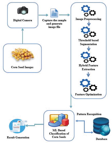 Figure 4. Proposed framework for corn seed varieties classification using hybrid-feature.