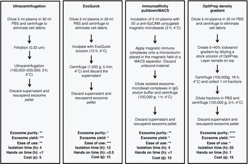 Fig. 2.  Exosome isolation methods. Example procedures and comparison of 4 commonly used methods, which are ultracentrifugation, ExoQuick precipitation, immunoaffinity pulldown/magnetic-activated cell sorting using anti-EpCAM (MACS) and OptiPrep density gradient to isolate exosomes from a plasma sample. These are compared in terms of purity, exosome yield, ease of use, approximate isolation time, approximate hands-on time and approximate cost per sample. *=low, *=moderate, ***=high, ****=very high. The relative assessment of procedures for exosome purity, yield, ease of use, isolation time, hands-on time and cost are adapted from Van Deun et al. (Citation22).