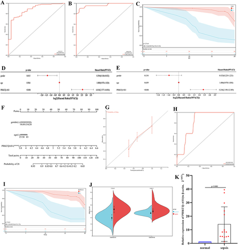 Figure 6 (A) ROC analysis of PRKCQ-AS1based on GSE95233. (B) ROC analysis of PRKCQ-AS1based on GSE28750. (C) PRKCQ-AS1 survival analysis in sepsis patients. The turquoise line represents high expression group, and the red line represents low expression group. The turquoise shading and red shading represent 95% confidence interval. (D) Forest maps show univariate Cox analysis results. (E) Forest maps show multivariate Cox analysis results. (F) A nomogram of 28-day survival prediction of sepsis patients constructed with PRKCQ-AS1 expression, age and gender. ****p <0.0001. (G) The calibration curve corresponding to the nomogram. (H) The ROC analysis corresponding to the nomogram. (I) Kaplan–Meier curve corresponding to the nomogram. The turquoise line represents high expression group, and the red line represents low expression group. The turquoise shading and red shading represent 95% confidence interval. (J) PRKCQ-AS1 expression in GSE95233 and GSE28750. (K) PRKCQ-AS1 expression in 15 sepsis samples and 15 control samples by RT-qPCR. The expression level of actin was used as an internal reference for PRKCQ-AS1. The data are shown as the mean ± standard deviation.