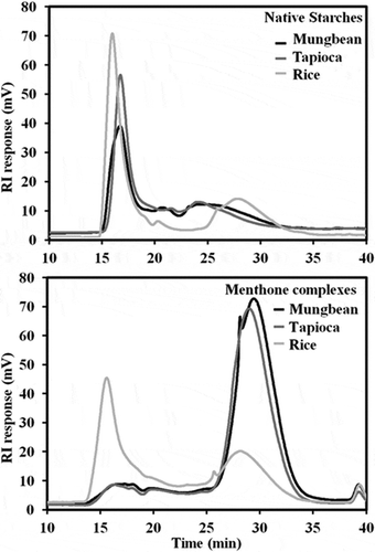 Figure 4. Size exclusion chromatogram of native starches and their menthone complexes.
