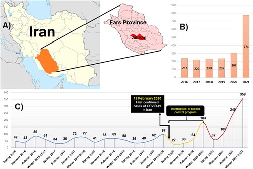 Figure 1. (A) The map of Iran and the outbreak region; (B) yearly trends of cutaneous leishmaniasis occurrence in Jahrom county; (C) trends of cutaneous leishmaniasis-based season from Spring 2016 to Winter 2021–2022. Note that the blue line is the trends before the COVID-19 pandemic, the yellow and red lines are the first and second years after the pandemic. The black boxes demonstrate the first confirmed case of COVID-19 in Iran and the time of rodent control program interruption.