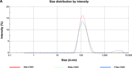 Figure S4 IONP size distribution profile.Notes: As measured by dynamic light scattering, the intensity size distributions of (A) CMD and (B) BNF IONPs are characterize by mean peaks of 118 nm and 172 nm, respectively. The red lines are maleimide-conjugated IONPs, the light blue lines are negative control Botulifab-conjugated IONPs, and the dark blue lines are the Farletuzufab-conjugated IONPs.Abbreviations: IONPs, iron oxide nanoparticles; fab, an engineered monoclonal antibody fragment; Ffab, Farletuzufab, engineered from monoclonal antibody Farletuzumab; Bfab, Botulifab anti-botulinum toxin fab fragment; BNF, bionized nanoferrite; CMD, carboxymethyl-dextran; Mal, maleimide.