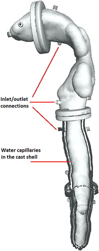 Figure 2. CAD model of the cast showing the inlet/outlet connections for water circulation and water capillaries inside the cast shell.