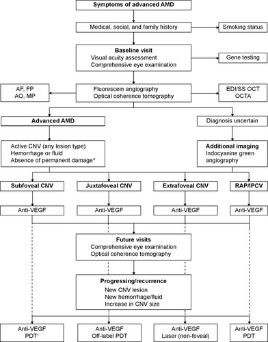 Figure 2 Flowchart of the optimal management of patients with advanced age-related macular degeneration (AMD).