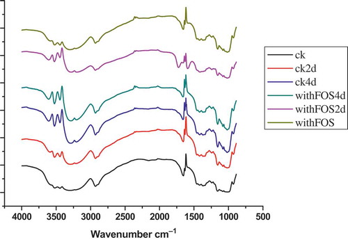 FIGURE 2 FT-IR curves of wheat starch gel with different content of FOS.