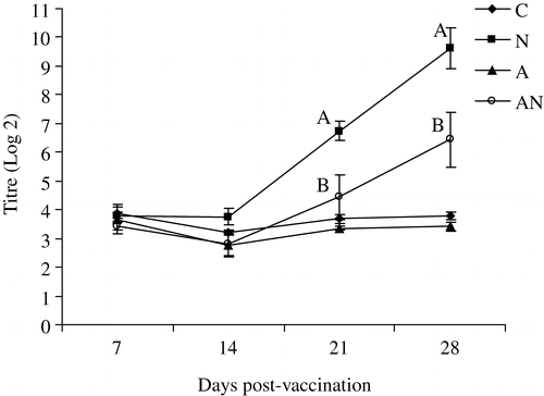 Figure 2. APV ELISA antibodies in the unvaccinated (C), APV (N), NDV (A) or dual-vaccinated (AN) groups measured using APV type B-coated ELISA plates. The birds were vaccinated with same strain as the ELISA antigen. Different superscripts between groups indicate that the values differ significantly (P<0.05).