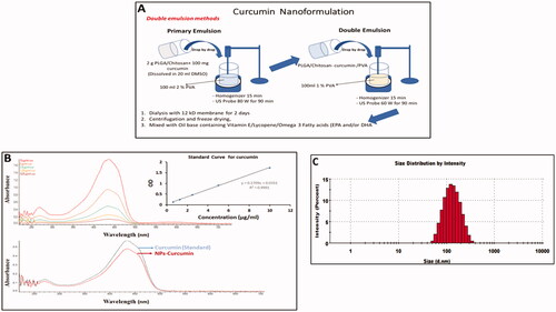 Figure 1. Preparation and characterisation of curcumin nanoparticles. (A) Schematic representation shows the preparation of curcumin nanoparticles (Cur-NPs). (B) Comparison of UV-Visible spectra for the nanoparticles and non-encapsulated curcumin. (C) Size measurement of Cur-NPs using dynamic light scattering (DLS).