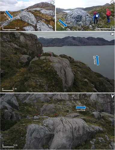 Figure 4. Examples of whalebacks mapped in the field (see Figure 2 for locations). (a) Micro-scale whaleback at Seno Icy. (b) Micro-scale fractured whaleback at Isla Tamar. (c,d) Back and side view of a meso-scale whaleback colonized by vegetation on its stoss side, image captured during a UAV flight at Seno Glaciar.