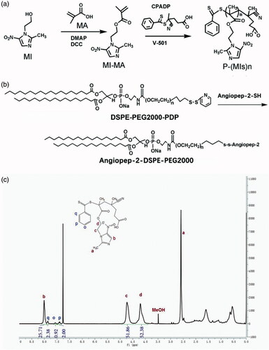 Figure 1. Synthetic routes of (a) P(MIs)n; (b) Angiopep-2-DSPE-PEG2000. (c) 1HNMR spectra of P(MIs)25. They were solubilized in CDCl3 for 1HNMR analysis (300 MHz).