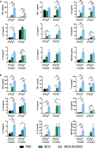 Figure 3. Superior cytokines production profile induction in the spleen lymphocytes of the BALB/c mice immunized with rBCG-ECD003. The cytokines production profile was analyzed in isolated spleen lymphocytes at the 4th and 12th week after immunization. 1 × 105 cells were restimulated with the fusion protein ECD003 (a) or PPD (b) and the concentration of cytokines (IFN-γ, TNF-α, IL-2, IL-12, IL-4, IL-6, IL-10, IL-17 and GM-CSF) was analyzed with multiplex cytokine assay. Results were shown as the mean ± SEM (n = 3) per group. Statistical significance was determined by ANOVA with Tukey’s multiple comparisons tests (*p < .05, **p < .01).