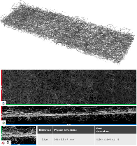 Figure 10. 3 D and 2 D view of Sample C – this sample is provided online as scan and identified fibers under https://doi.org/10.30423/FiberFind.Nonwoven.SampleC-2022-01.