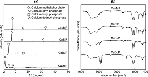 Figure 2. (a) XRD patterns and (b) FTIR spectra for CaMeP, CaEtP, CaBuP and CaDoP.