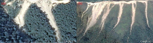 Figure 3. Google Earth images of typical landslides.