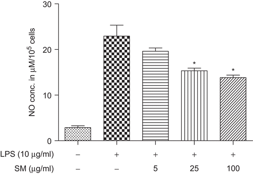 Figure 5.  Effect of SM on LPS-induced NO production. BM-MØ were pretreated with various concentrations of SM (0, 5, 25, 100 µg/ml) for 2 h, and then stimulated with 10 µg LPS/ml for 24 h. The supernatant in each culture well was then collected for and assayed for NO using a Griess reagent protocol. Values shown are the mean (±SEM) from n = 3/treatment group. *Value is significantly different (P < 0.05) compared with that of the ‘LPS alone’ control treatment.