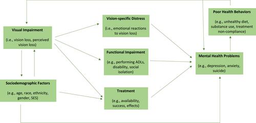 Figure 1 Bidirectional interaction between visual impairment and mental health problems.