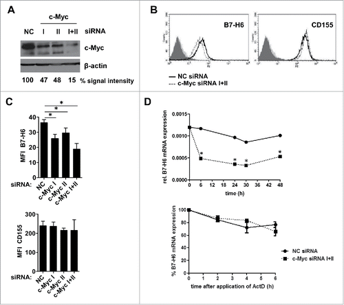 Figure 2. Transient knock-down of c-Mycin HeLa cells leads to reduced B7-H6 expression. HeLa cells were transiently transfected with two different c-Myc siRNAs or negative control (NC) siRNA. (A) Left: Western blot analysis of c-Myc and β-actin expression 48 h after siRNA transfection. Numbers below the blots indicate the % Myc expression relative to NC siRNA-treated cells (set as 100%). All signals were quantified relative to actin (set as 1) (B) Representative histogram overlays show cell surface expression of B7-H6 and CD155 48 h after siRNA transfection. Filled histogram: isotype control, dark gray: NC siRNA, light gray: c-Myc I+II siRNA; open solid histogram: NC siRNA-treated cells; open dashed histogram: c-Myc siRNA I+II-treated cells. Dead cells were excluded by gating on 7-AAD negative cells. (C) Cell surface expression of B7-H6 (upper panel) or CD155 (lower panel) 48 h after siRNA transfection is shown. The mean +/− SD (n = 6) from three independently performed experiments is shown. (D) Upper panel: relative B7-H6 mRNA expression to GAPDH (set as 1) was determined by qRT-PCR at the indicated time points after siRNA transfection. Lower panel: 24 h after siRNA transfection, HeLa cells were treated with Actinomycin D (ActD) and relative B7-H6 mRNA expression to GAPDH (set as 1) was measured by qRT-PCR at the indicated time points after addition of ActD. For each siRNA treatment, the values before ActD treatment were set as 100%. The mean +/− SD (n = 4) from two independently performed experiments is shown. *p <0.05 determined by Student's t-test.