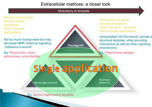 Figure 1 Spectrum of extracellular matrices.