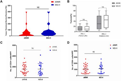 Figure 7 Neoantigen load and PD-L1 expression level in dMMR and MSI-H endometrial tumors. (A) TMB per megabase in tumor DNA exons and introns detected by ColoSeq. Red and blue represent dMMR and pMMR tumors, respectively. (B) Average numbers of PD-L1–expressing tumor cells and TILs (B), CD3+ immune cells (C), and CD8+ immune cells (D) identified by IHC. NS, nonsignificant at p>0.05 (Mann–Whitney U-test).