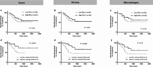 Figure 4. Predictive performance of CMTM6 and PD-L1 in immunotherapy-treated patients with melanoma. Overall survival corresponding to PD-L1 expression alone in the tumor compartment (a), the stromal compartment (b), and in macrophages (c) in patients who received immune checkpoint inhibitors. Overall survival in patients with high levels of both CMTM6 and PD-L1 compared with co-expression of low levels of CMTM6 and PD-L1 in the tumor compartment (d), the stromal compartment (e), and in macrophages (f)