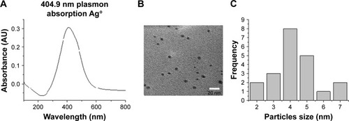 Figure 2 Characterization of AgNPs. (A) Ultraviolet–visible spectra of AgNPs. (B) Transmission electron microscopy of AgNPs. (C) Histogram of the size of the particles.Abbreviations: AgNPs, silver nanoparticles; AU, arbitrary unit.
