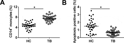 Figure 1. Effect of Mycobacterium tuberculosis (Mtb) infection on human monocytes in pulmonary tuberculosis (TB) patient. Human peripheral blood mononuclear cells (PBMCs) were isolated from healthy control (HC; n = 34) and pulmonary TB patients (TB; n = 34). (a) CD14-positive (CD14+) moncytes were sorted and determined by fluorescence-activated cell sorting (FACS). (b) Apoptosis positive cells in above primary moncytes was measured on FACS. All operations were performed in triplicate and * P < 0.05