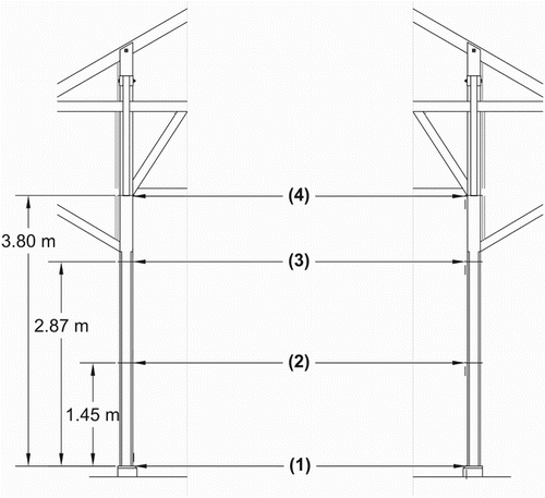 2 Location for measurement of the columns’ deformation