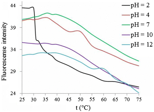 Figure 11. Fluorescence intensity of copolymer (0.65 mg/mL) at different pH values as function of temperature; λex = 483 nm, λem = 520 nm.