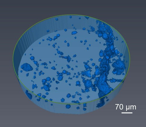 Figure 5. Reconstructed micro-CT image of Sample 7075-Er-b. The dimension is Φ 0.7 × 0.2 mm.