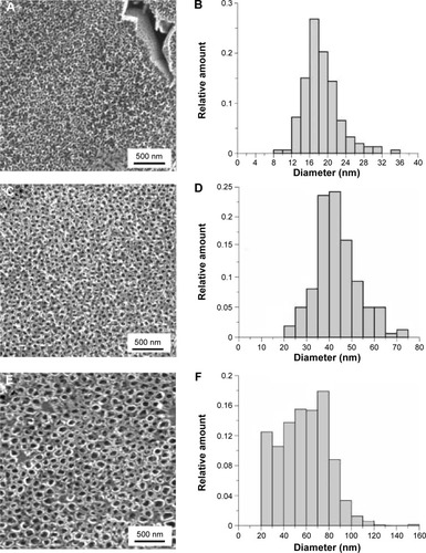 Figure 1 Surface nanostructured at 10 V (A), 20 V (C), and 30 V (E); histograms of 10 V (B), 20 V (D), and 30 V (F) nanotube diameters.