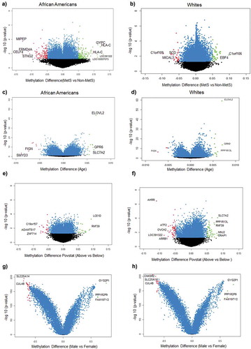 Figure 1. Volcano plots of differentially methylated positions between MetS and non-MetS in each race (a) DMPs associated with MetS in AAs (b) DMPs associated with MetS in Whites (c) DMPs associated with age in AAs (d) DMPs associated with age in Whites (e) DMPs associated with poverty status in AAs (f) DMPs associated with poverty status in Whites (g) DMPs associated with sex in AAs (f) DMPs associated with sex in Whites. Blue colour dots represent the genes with p-value<0.05. Green colour dots represent the genes with p-value <0.05 and hypermethylated with positive beta values. Red colour dots represent the genes with p-value <0.05 and hypomethylated with negative beta values. Black colour dots represent the genes that are not statistically significant at a p-value <0.05.