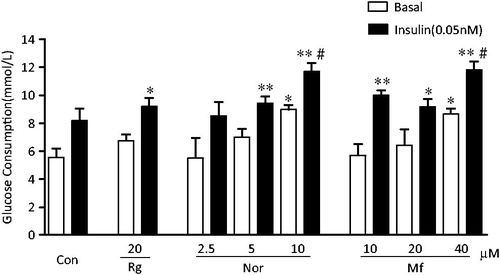 Figure 2. Effects of norathyriol and mangiferin on basal and insulin-stimulated glucose consumption in L6 myotubes. L6 myoblasts cells were grown in 96-well plates, treated with α-MEM supplemented with 2% FCS for 5–6 days to differentiate into myotubes and then serum starved for 4 h and incubated with rosiglitazone (Rg), norathyriol (Nor), mangiferin (Mf) or vehicle (Con) for 24 h in the absence and presence of 0.05 nM insulin. The concentration of glucose in the medium in each well before and after 24 h of incubation was determined with a glucose determination kit. Data are means of six samples ± SEM. *p < 0.05, **p < 0.01 compared with basal control; #p < 0.05, compared with insulin-treated control.