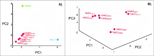 Figure 3. Degree of change in the HMEC surface antigen expression profile after incubation in the presence of tumor-conditioned medium. (A) Principle component analysis (PCA) of cell surface profiles obtained from HMECs and control non-ECs (HepG2 and MCF-7) that were projected in the space of the first 2 principal components. (B) PCA of cell surface profiles obtained only for HMECs projected into the space of the first 3 principal components. Cell surface profiles are shown for HMECs stimulated to grow in the presence of EC growth supplement (1HMECECGS and 2HMECECGS), MCF-7 cell-conditioned medium (1HMECMCF-7 and 2HMECMCF-7), LNCap cell-conditioned medium (1HMECLNCap and 2HMECLNCap), or HepG2 cell-conditioned medium (1HMECHepG2 and 2HMECHepG2). Superscript numbers correspond to different donors used to establish HMEC primary cultures.