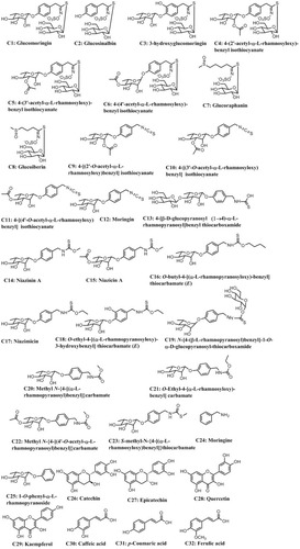 Figure 1 Structures of 32 potentially active compounds.